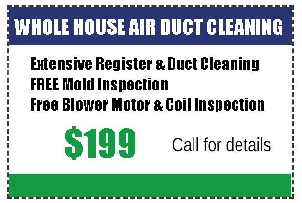 Green home dryer hot sale vent cleaning